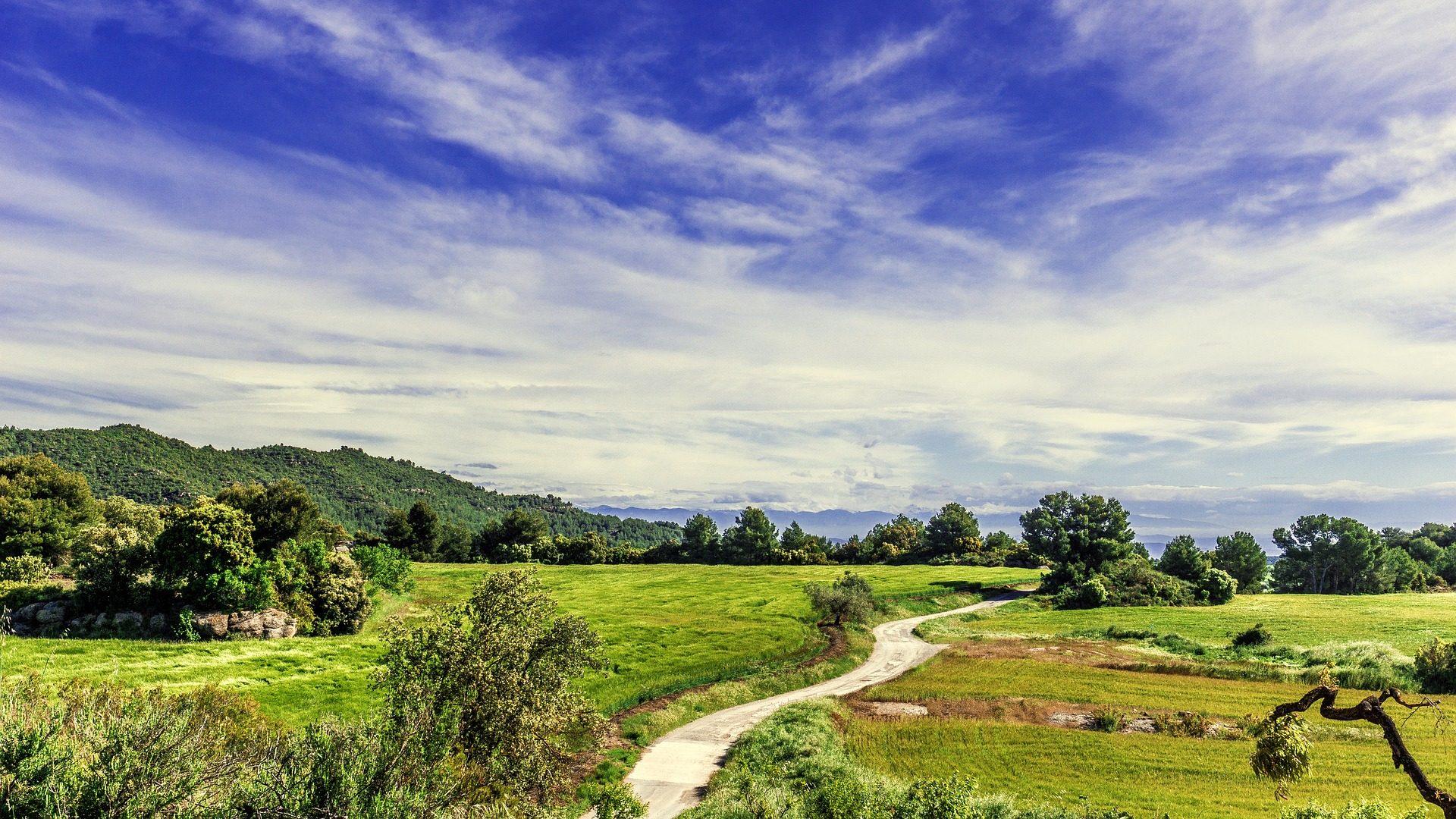 Turismo rural y tecnología